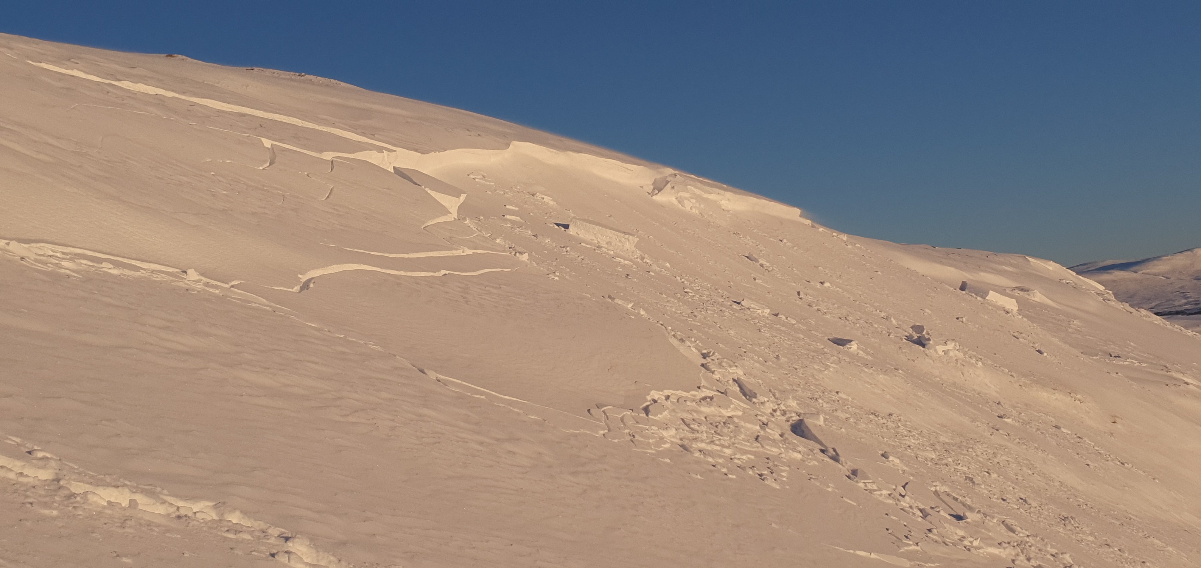 Sluttning som visar spår av en lavin.